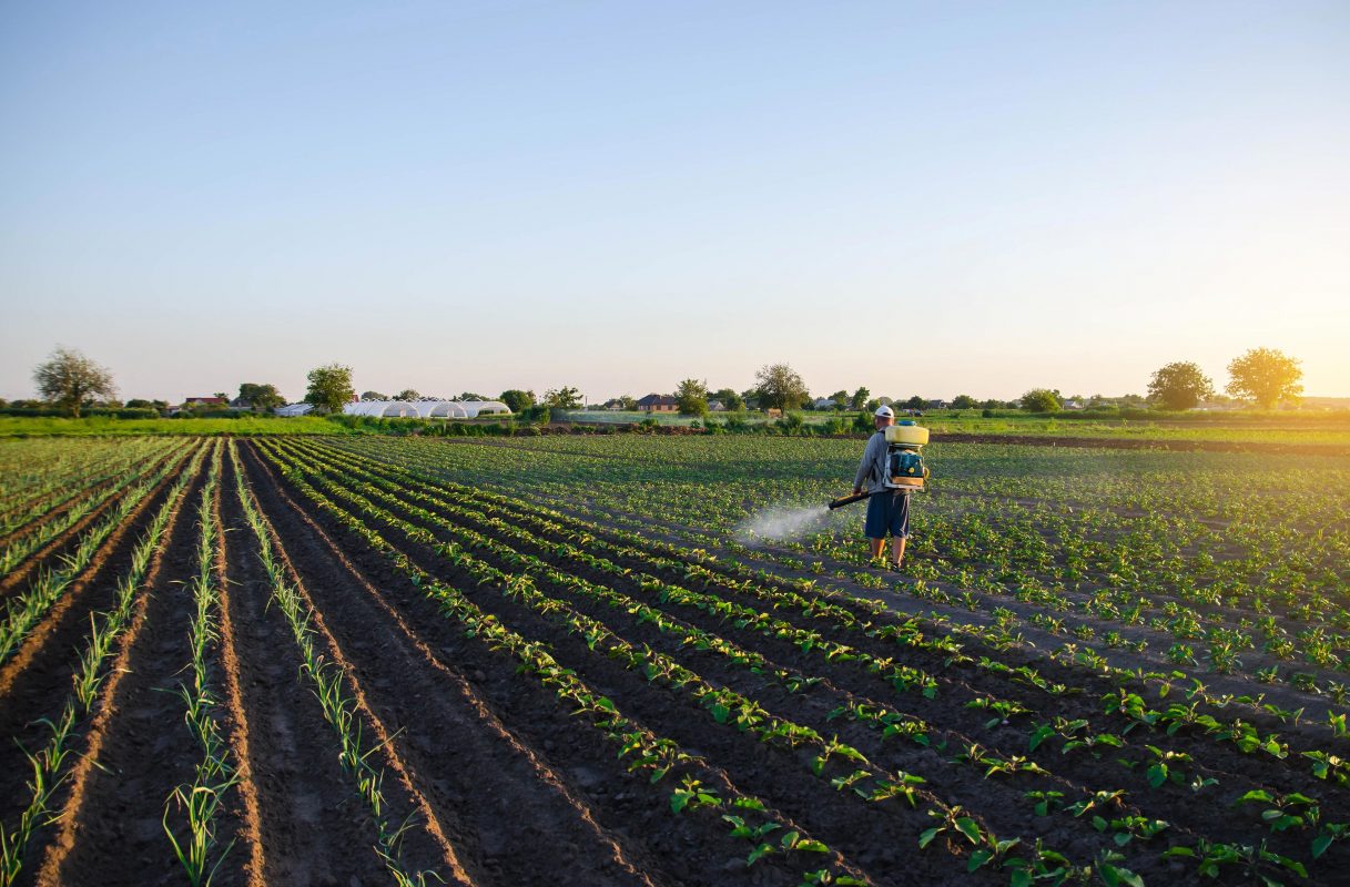 farmer spreading best pesticide formulation