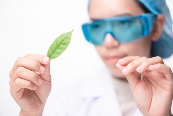 lab expert researching about nanotechnology with leaf in hand